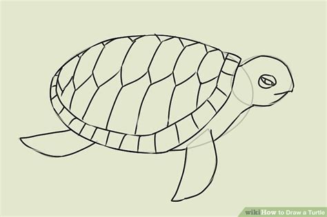Draw the outline of your head first, then draw a black dot for your eye. 4 Ways to Draw a Turtle - wikiHow