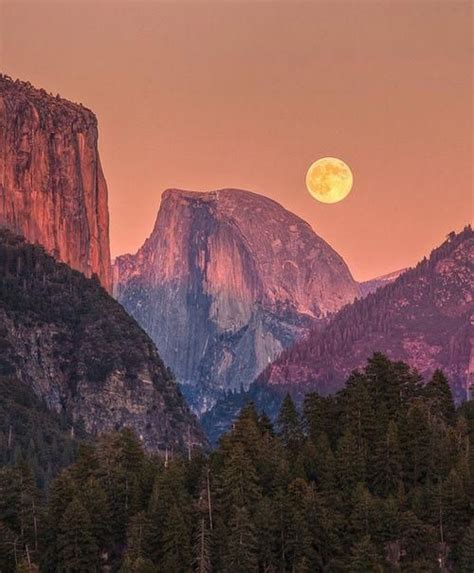 The Almighty Outdoorwildernessyosemitecamping National Parks Nature