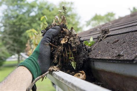 Check spelling or type a new query. Cleaning Gutters During The Summer | Gutt-R-Done Gutters