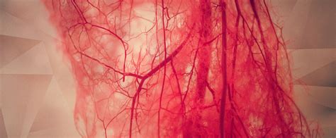 New Blood Vessels Can Soon Be Injected Into The Body