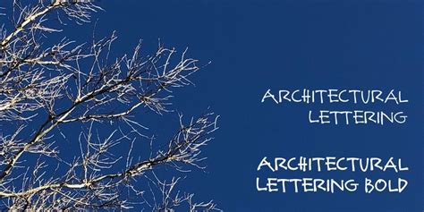 Architectural Lettering Font Webfont And Desktop Myfonts