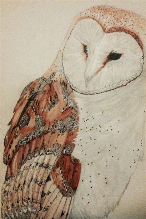 Realism Painting Art Owl