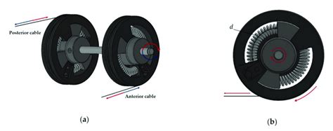 Designed Bidirectional Tendon Driven Actuator Btda A Cable