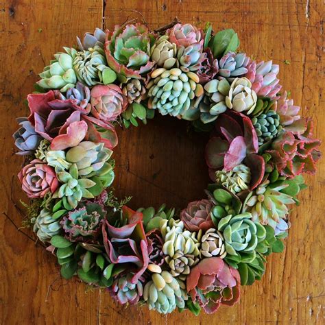 Living Succulent Rosalind Wreath Mothers Day T Etsy Succulent