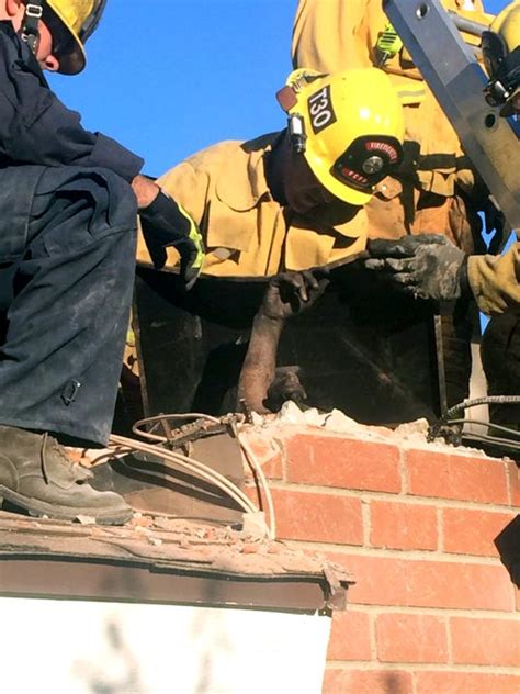 woman stuck in chimney later arrested