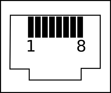 Clipart Rj45 With Pin Numbers