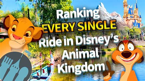 Ranking EVERY SINGLE Ride in Disney’s Animal Kingdom – HousePetsCare.com