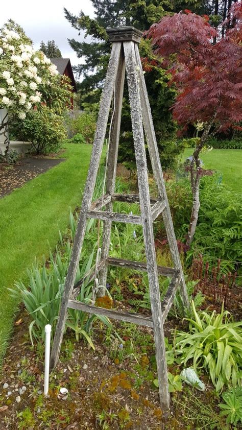 Here are some of the most functional, easy to make, and inexpensive cucumber trellis ideas that you can easily diy. Bean trellis | Veggie garden, Bean trellis, Garden arch