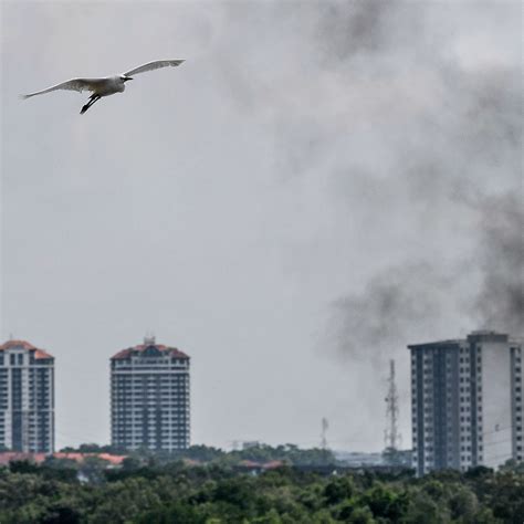 Pengeluaran stockpile pasir yang diwujudkan oleh pengusaha haram. Tercemar teruk, nazakkah sungai di Pasir Gudang ...