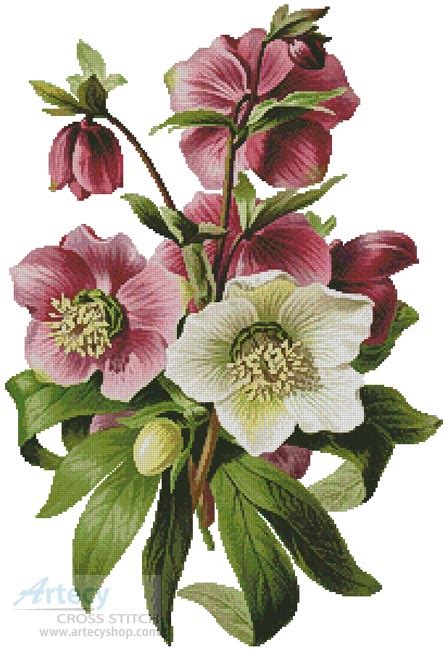 All you have to do is find the pattern you want and besides her free patterns, she does have an etsy shop that includes beautiful flower patterns for. Artecy Cross Stitch. Hellebore Cross Stitch Pattern to ...