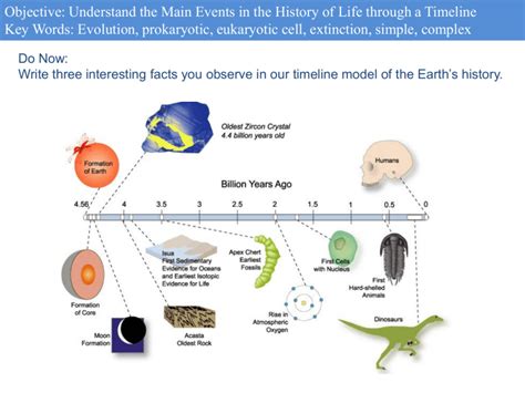 History Of Life