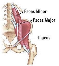 Best Hip Flexor Stretches To Release Tight Hips Reset Pelvis Naturally