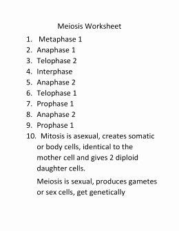 After visiting the following web pages, compare and contrast mitosis and meiosis. Pin on Customize Design Worksheet Online