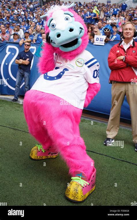 Overtime 4th Oct 2015 Indianapolis Colts Mascot Blue In Action