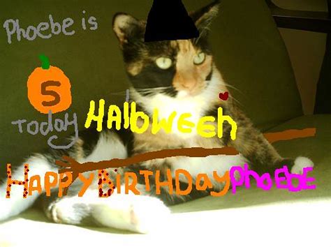 Happy 5th Birthday Phoebe Xxxx Today Is Phoebes 5th Birth Flickr