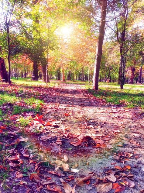 Autumn Nostalgic Park Path Stock Image Image Of Central 27867643