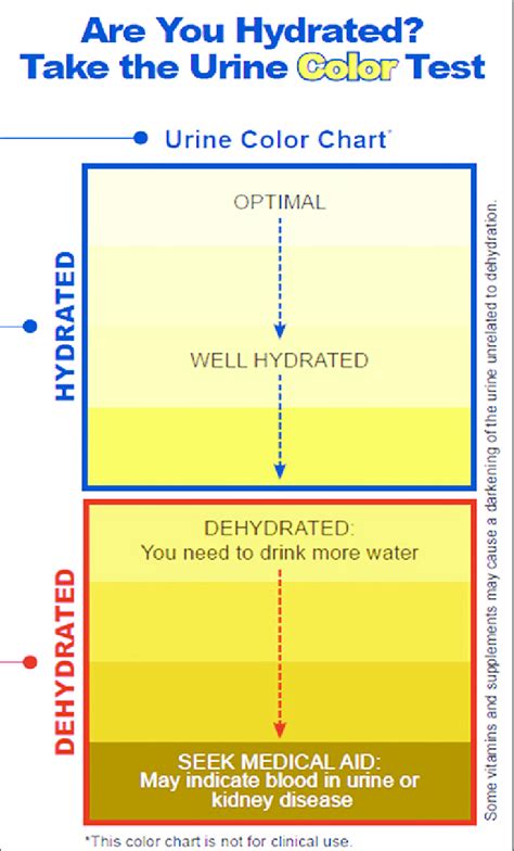 Urine Color Chart And Hydration A Visual Reference Of Charts Chart