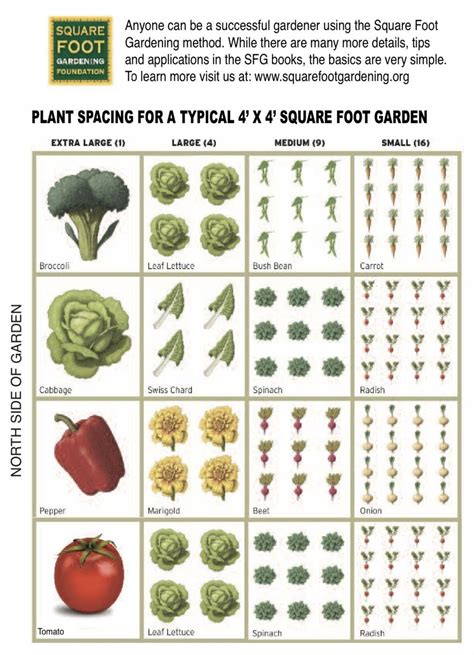 An Introduction To Square Foot Gardening — Neantog Farm