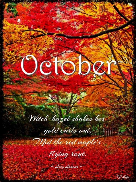 Welcome October | Autumn scenery, Autumn scenes, Hello october images
