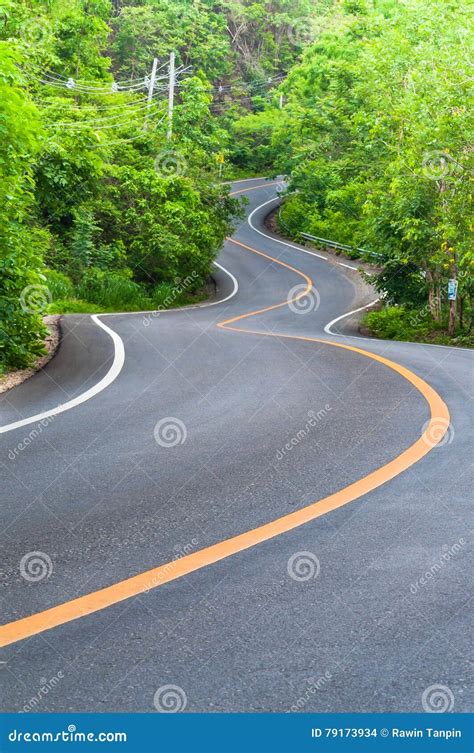 Countryside Road With Trees On Both Sides Stock Photo Image Of Nature