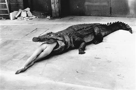 ‘helmut Newton The Bad And The Beautiful Review Portrait Of A Provocateur Who Worshiped Women