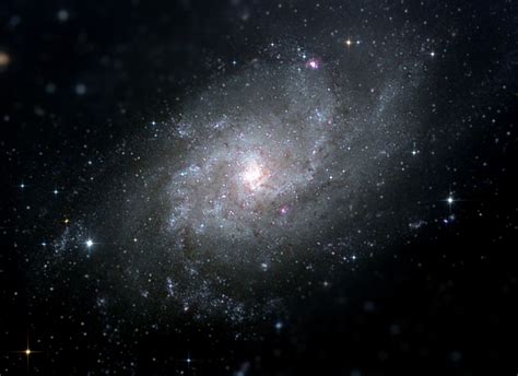 The Triangulum Galaxy Messier 33 Ngc 598 Sponli News