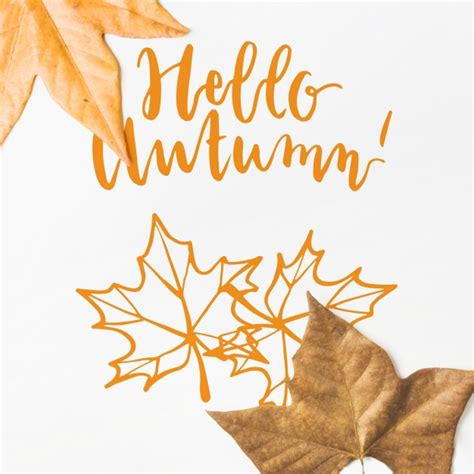 Learn how to download and edit free psd mockups with photoshop. Autumn mockup with leaves | Free PSD File