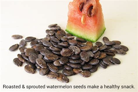 Watermelon Seeds Nutrition Benefits And How To Eat Them