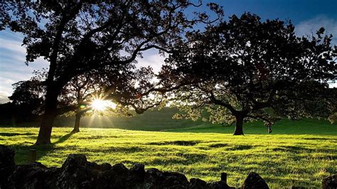 Para Escritorio Naturaleza Escenas Hermosos Paisajes X Fondo