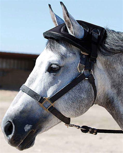 Horse Helmet Cashel Shipping Boots Boots Wraps Equine