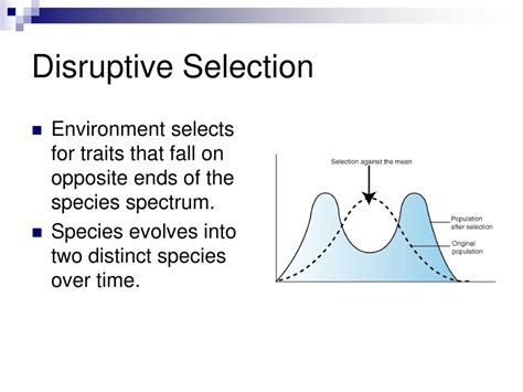 Evolution And Biodiversity Ppt Download