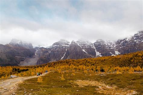 Fall Hiking To See The Golden Larch In The Canadian Rockies Stock Image