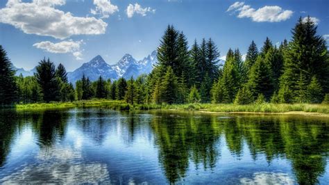 Download Wallpaper 1600x900 Lake Mountain Tree Water Landscape
