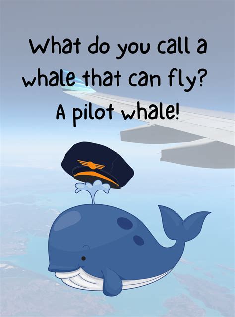 Whale Puns List