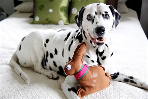 Diy Easter Bunny Dog And Cat Toys Dalmatian Diy