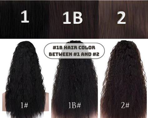 1b Hair Color Best Guide On How To Choose Black Hair Dye