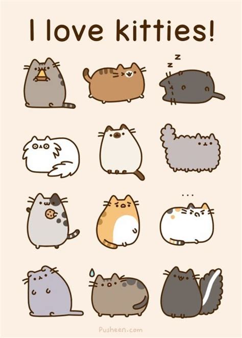 Pusheen Drawing Cute Kawaii Cat Ola Wallpaper