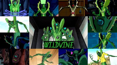 All Wildvine Transformations In All Ben 10 Series Youtube