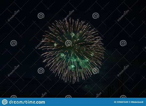 Fireworks New Years Eve 2021 Stock Image Image Of Event Flower
