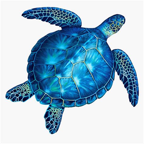 Turtle No Background Blue And Green Sea Turtles Hd Png Download