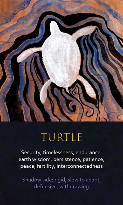 Pin By Reana Joubert On Spirit Animal Turtle Spirit