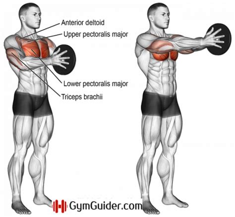 6 The Best Non Bench Chest Exercises