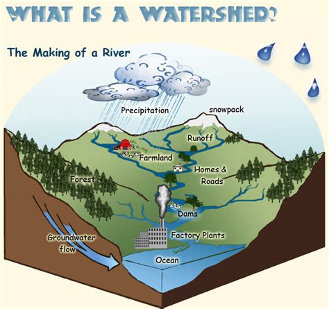Whats A Watershed — Snohomish Conservation District
