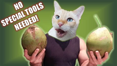 … how to open a coconut: How to Cut Open a Young (Green) Coconut - Cat Lady Fitness ...
