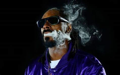 Snoop Dogg Asks Court To Toss Sex Assault Case