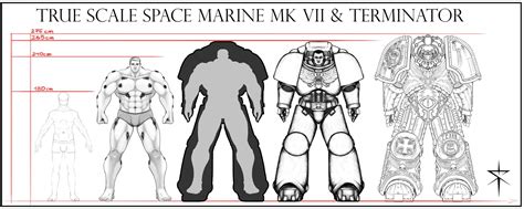 True Scale Space Marine And Terminator By Falkirth Warhammer 40000 Fan