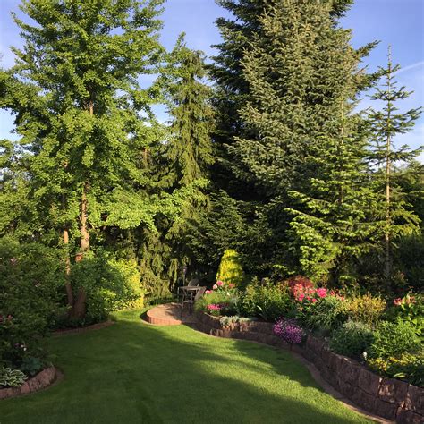 Sie bauen, pflegen, sanieren und pflanzen außenanlagen, insbesondere grünanlagen aller art. Kontakt - Meierhöfer Garten- & Landschaftsbau