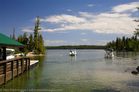 Jenny Lake Photos By Ron Niebrugge
