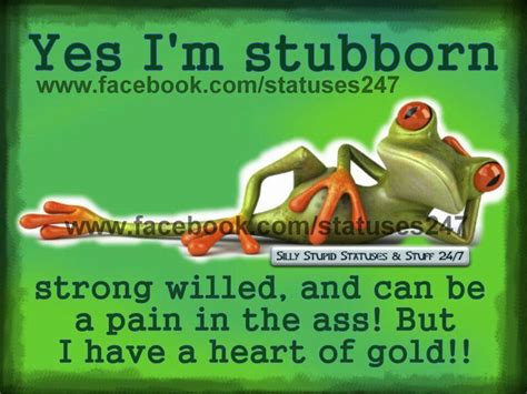 Find great short quotations about life, frogs, friendship, family, health, people, online. This is me. :-) | Funny phrases, Frog quotes, Frog pictures
