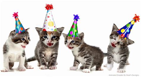 Kittens singing happy birthday < personalize card > personalize card > view happy birthday cards Kitten Singing Happy Birthday | Happy Birthday Kitten ...